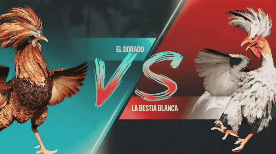 7ff Jogos Sport Online